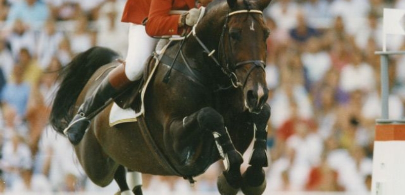 L’influenza del padre della madre: quali stalloni materni nel jumping dal 2015?