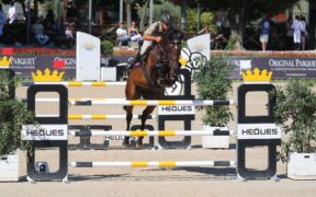 Piazza d’Onore per Nico Lupino nella 145 LR di San Giovanni in Marignano (CSI2*)