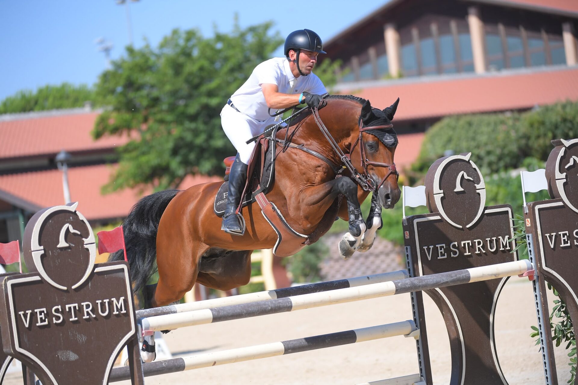 Riccardo Pisani 2° nella 145 LR di San Giovanni in Marignano (CSI3*)