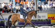 Aachen 2026, paradressage: Francesca Salvadè conquista il secondo bronzo
