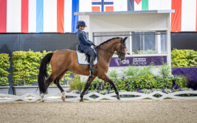 Aachen 2026, paradressage: Italia con il piede giusto nella prova a squadre