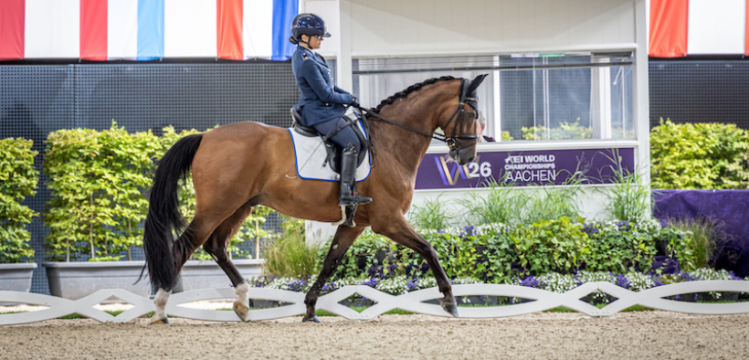 Aachen 2026, paradressage: Italia con il piede giusto nella prova a squadre