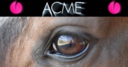 ACME, dal 1987 al fianco del benessere animale con ricerca, qualità e competenza 2