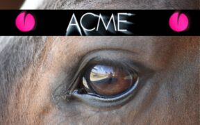 ACME, dal 1987 al fianco del benessere animale con ricerca, qualità e competenza 2