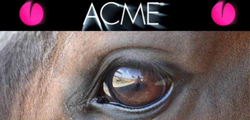 ACME, dal 1987 al fianco del benessere animale con ricerca, qualità e competenza 2