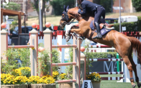 Emilio Bicocchi si aggiudica la 145 LR di Opglabbeek (CSI4*)