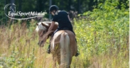 EquiSportMania: competenza, servizio e passione per l’equitazione 1
