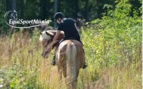 EquiSportMania: competenza, servizio e passione per l’equitazione 1
