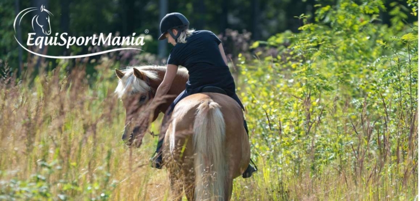 EquiSportMania: competenza, servizio e passione per l’equitazione 1