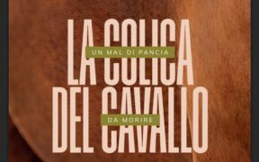 "La colica del cavallo": il nuovo libro di Giovanni Biglietti