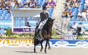 Mondiali Aachen, dressage: la Germania prende il comando