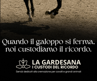 gardenasa Q 1