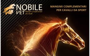 Nobile Vet: una nuova visione della Bio-Performance del cavallo atleta 5