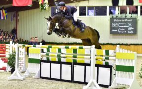 Addio a Balou du Rouet: lo stallone si è spento a 27 anni