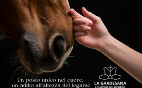Fino all'ultimo saluto per il proprio cavallo: la missione de La Gardesana - I custodi del ricordo 2