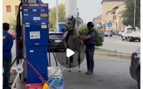 Il cavallo al distributore di Pavia. Sorridiamo, ma non troppo (video)