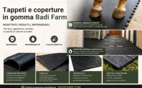 Il comfort del cavallo parte da terra con Badi Farm