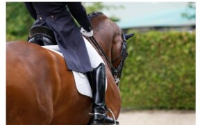 La FEI presenta modifiche per le nuove riprese di dressage