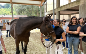 "Lo sport che cura": al CONI il cavallo al centro del convegno FISE dedicato ai giovani
